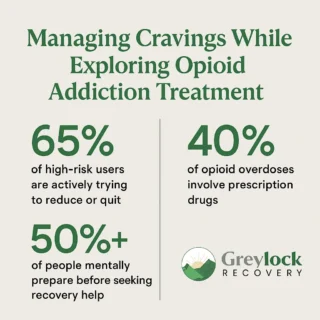 Opioid Craving Stats